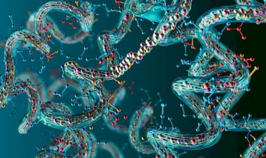 Utilizing AI for Predicting Protein Complexes and Virus Prevention