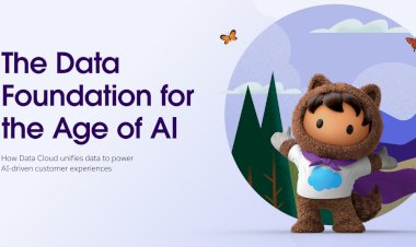 See how you can build a data strategy for the age of AI.