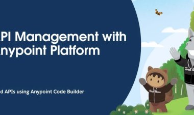 API Management with MuleSoft Series