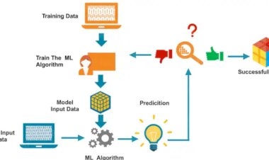 How Do Machine Learning Algorithms Work?