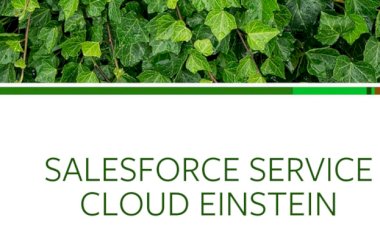 Learn how to get the most out of your services with trusted AI.