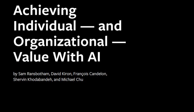 Achieving Individual and Organizational Value With AI